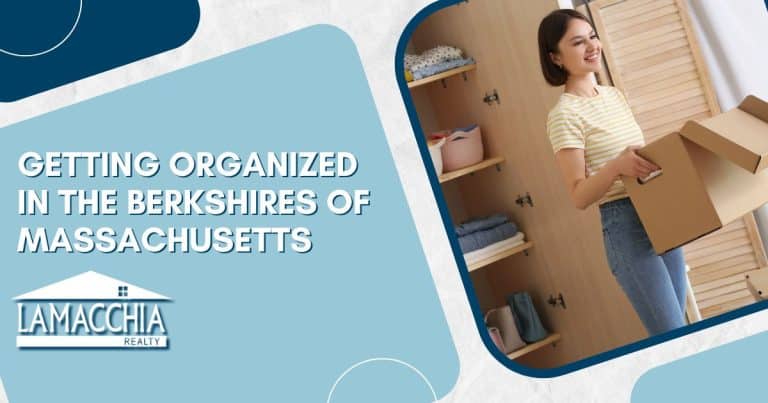 berkshires organization blog featured image 0325