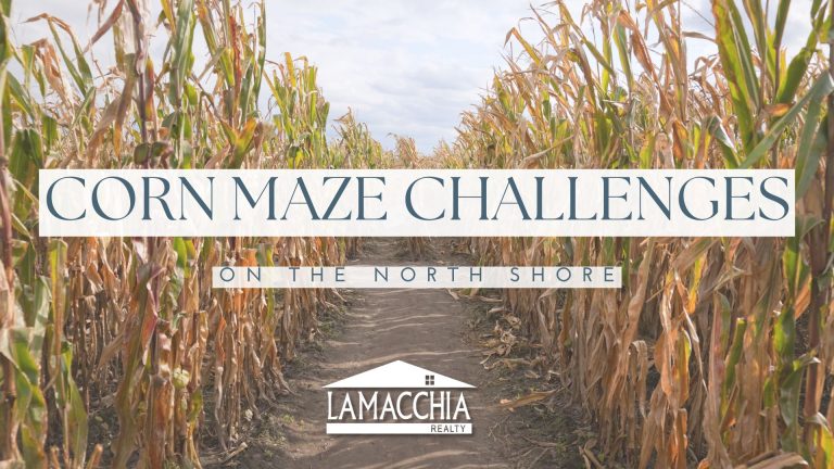 corn mazes north shore blog