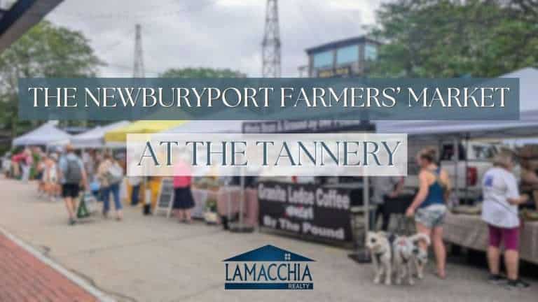 NBPT Farmers' Market