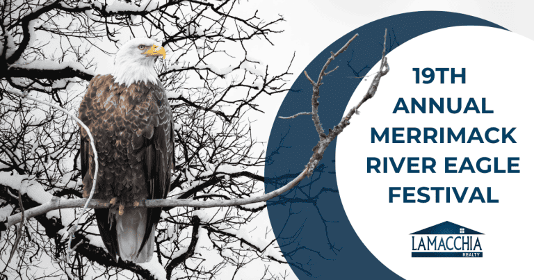 merrimack river eagle festival blog fi 0225